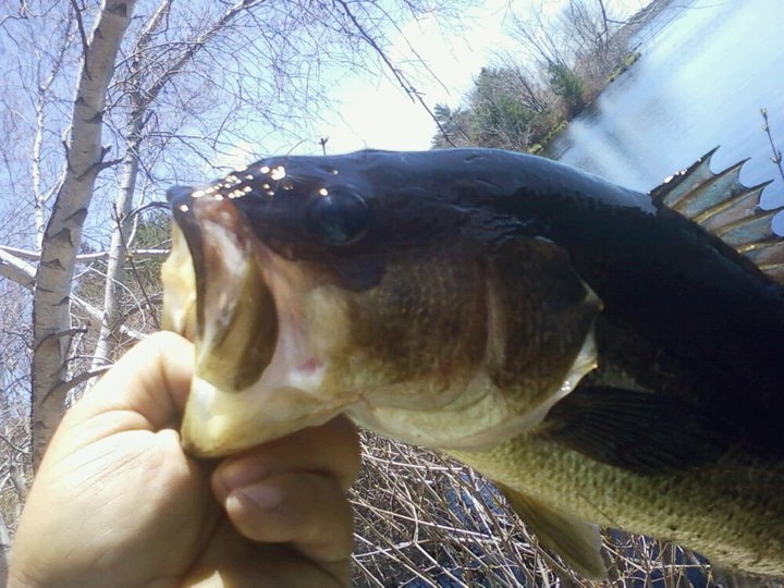 2011 copicut largemouth