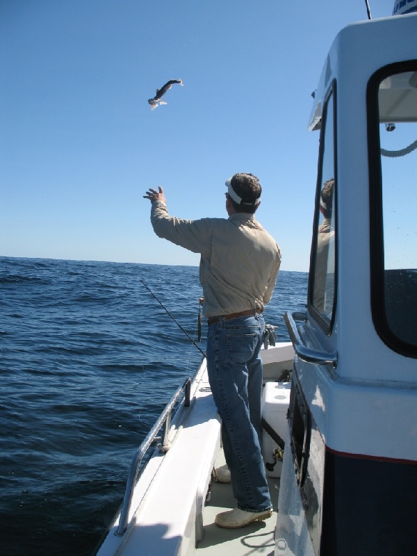 September 2009 Cape Cod fishing trip.