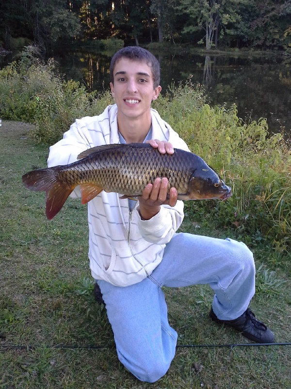 first CT carp (fairfield)