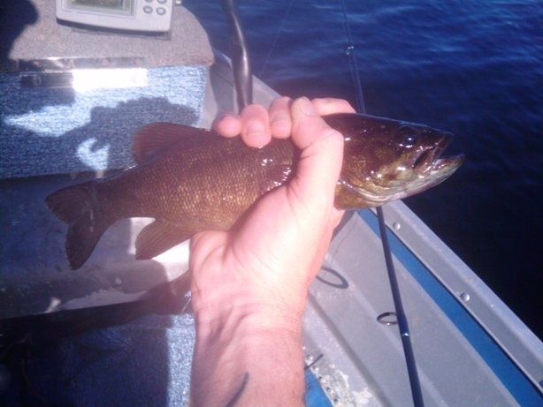 smallies