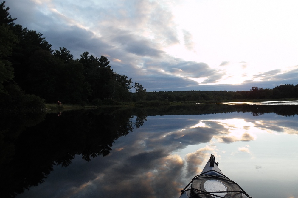 Lamprey at dusk