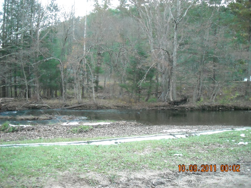 trout fishing 