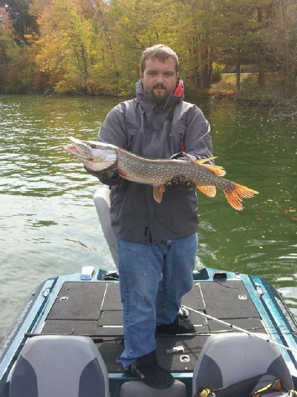 Northern Pike